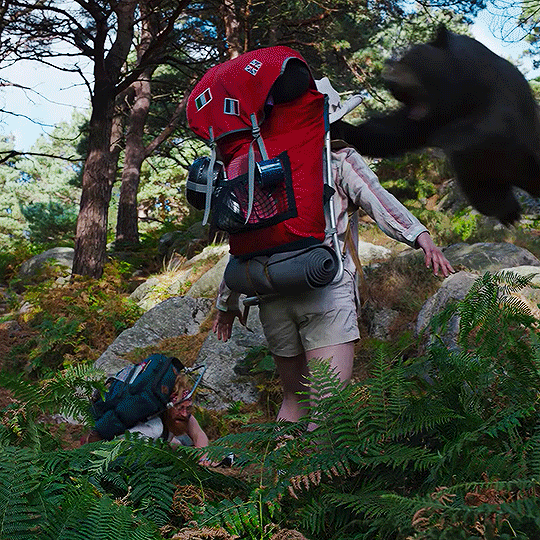 une randonneuse en bivouac solo qui se fait tirer par un ours dans la forêt