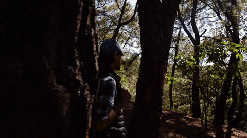 un randonneur en pleine nature